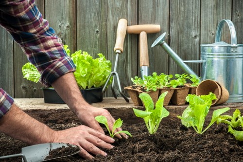 Gardening Services Victoria team consulting with a client in an accessible garden setting