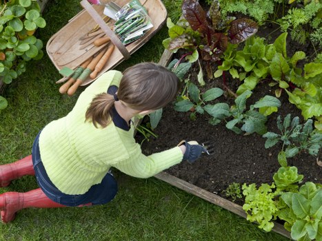 Worker inspecting and maintaining garden machinery to ensure safety