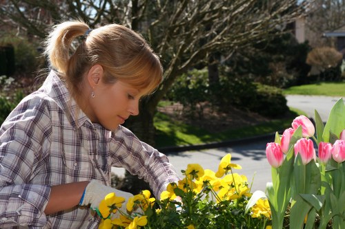Gardening team preparing to load a van for a residential clearance