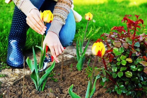 Seasonal garden care services enhancing Victoria properties