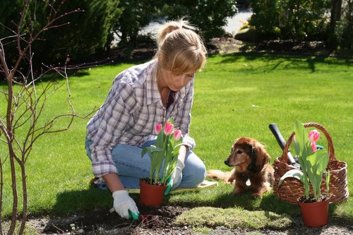 Lush garden maintenance services by Victoria's gardening professionals